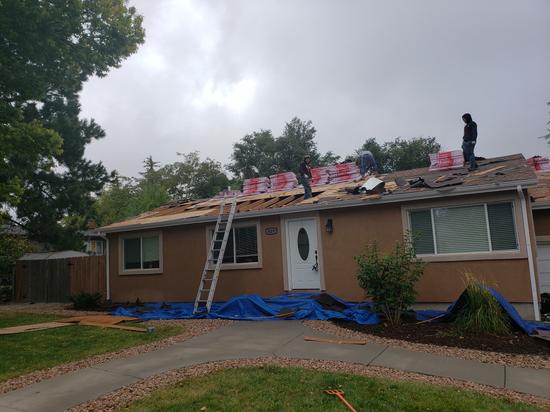 Roof shingles from above